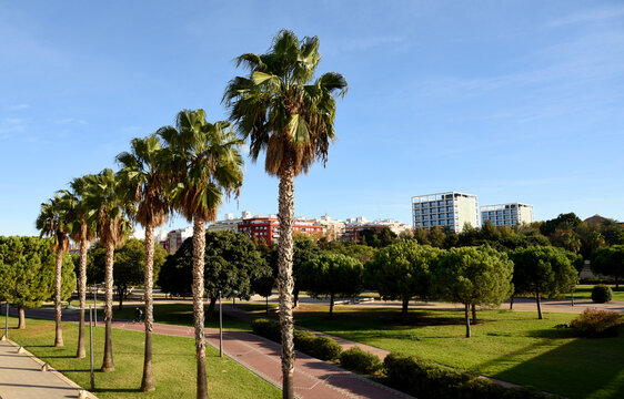 City park with gardens and palm trees in Valencia. Valencia Central Park on Turia River. Facade of a building. Residential buildings with windows and balconies. City architecture in central streets.