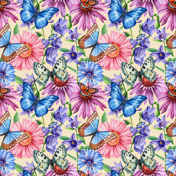Flowers and butterfly, echinacea, cornflower, gerbera and bluebell, watercolor drawings, floral design, seamless pattern