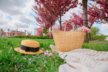 picnic blanket with straw hat and bag on green grass covered with pink sakura flowers © phpetrunina14