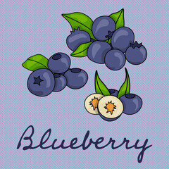 Blueberry