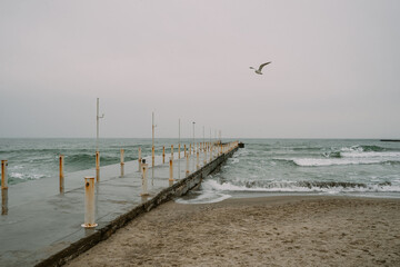 Naklejka na ściany i meble Black Sea landscape. Seagulls fly over the coast. Ukrainian nature. Emotional scene. 