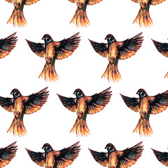 Pattern with watercolor birds.