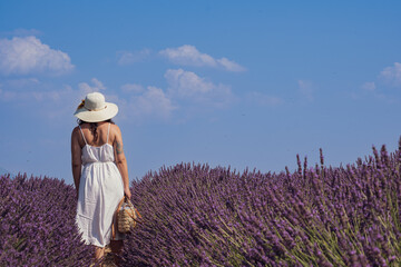 Valensole