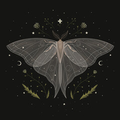 illustration of magical night moth with cosmic elements and plants. magical elements. ideal for printing on a calendar, fabric, postcard and design