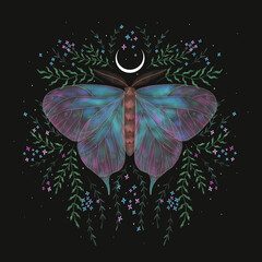 illustration of magical night moth with cosmic elements and plants. magical elements. ideal for printing on a calendar, fabric, postcard and design