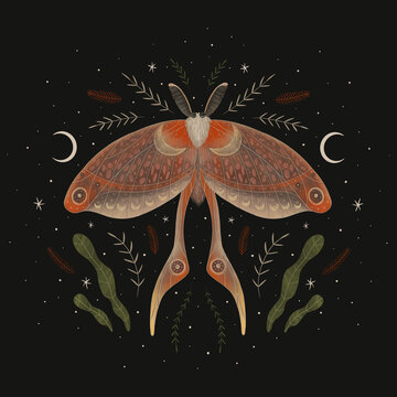 illustration of magical night moth with cosmic elements and plants. magical elements. ideal for printing on a calendar, fabric, postcard and design