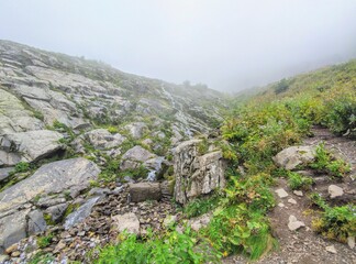 The coast of the Krasnodar Territory