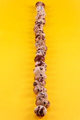 image with eggs of (Coturnix coturnix), on Yellow background