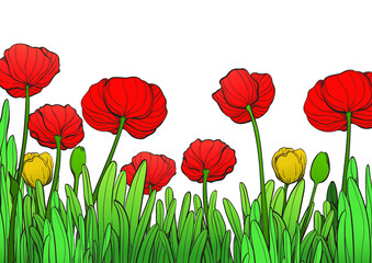 Bright red and yellow tulip flowers on green background.
