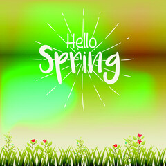 hello spring typography with grass and daises, vector background
