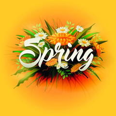 Fresh spring background with grass .Yellow background  beautiful flowers
