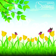 Beautiful spring Butterflies with blooming flowers in grass
