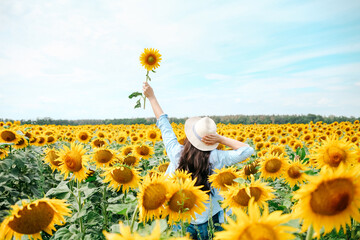 Young beautiful blonde woman standing in sunflower field.
 