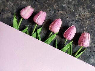 Pattern of pink tulips on black concrete background with copy space. Spring flatlay with copy space. Day of Earth.