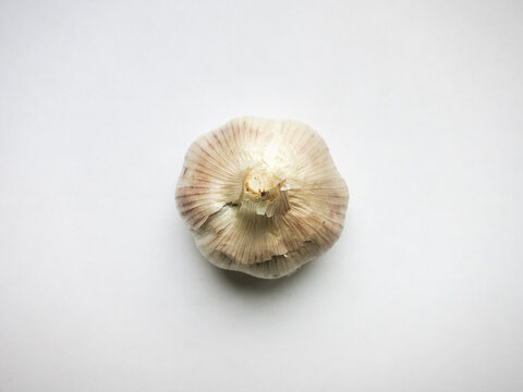 Head of garlic on a light background.