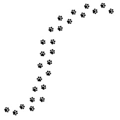 犬や猫の足跡　手がかり