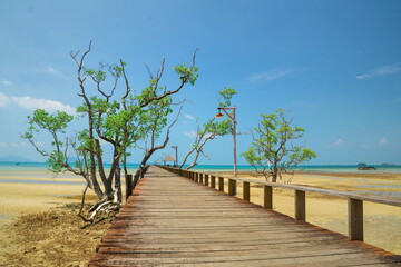 Fototapeta na wymiar Beautiful wooden bridge in Thailand.Sitting on the terrace by the sea.