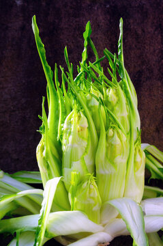 Cicoria catalogna - Vulkanspargel - Puntarelle - Chicory Radiccio 
