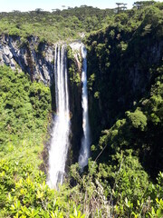 waterfall in the forest