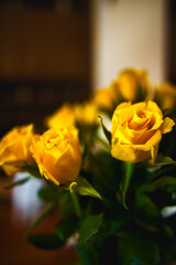 yellow rose on black