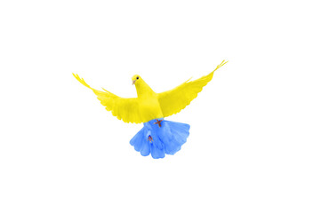 dove of peace with the colors of the Ukrainian flag in flight isolated on a white background