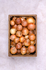 Fresh yellow onions in a wooden box