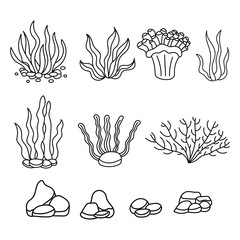 Seaweed set. Water grass. Freehand coloring book. Vector illustration isolated on white background