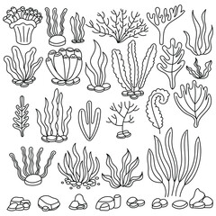 Seaweed set. Water grass. Freehand coloring book. Vector illustration isolated on white background © Rina Design