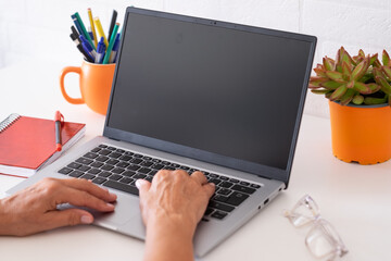 Laptop with blank screen. Woman typing on keyboard. Work place with pen and plant. Technology,...