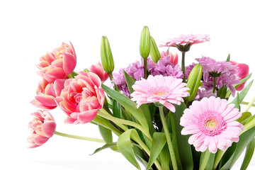 Obraz premium Composition with beautiful blooming Tulips and Barberton Daisy (Gerbera jamesonii) flowers on white background , pink colors