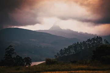 Foto op Canvas panorama of the tea plantations at sunset - Sri Pada peak in the background © Melinda Nagy