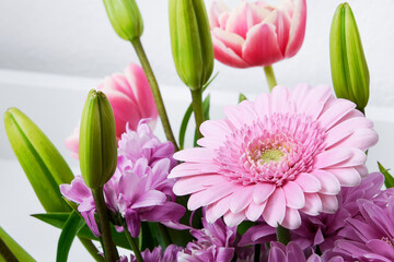 Composition with beautiful blooming Tulips and Barberton Daisy (Gerbera jamesonii) flowers on white background , pink colors