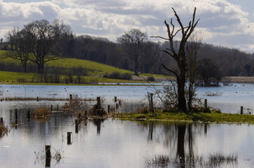 Fototapeta premium flooded pasture farm in ireland
