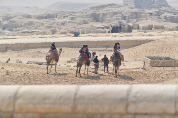 desert, camel, sand, travel, animal, sahara, egypt, camels, landscape, nature, caravan, sky, bedouin, horse, tourism, safari, arab, tunisia, dromedary, mountain, dune, sun, summer, sea, people