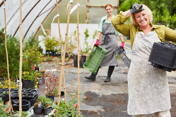 Ältere Frau als Gärtnerin bei der Arbeit im Gartencenter