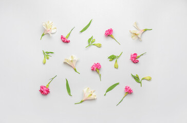 Composition with beautiful carnation and alstroemeria flowers on white background