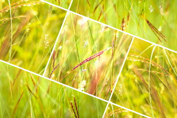 Geometric grass abstract background with triangles and lines.