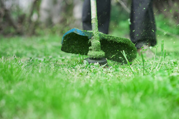 Gardening. Cutting the lawn with cordless grass trimmer, edger,