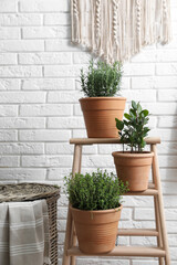 Fototapeta na wymiar Different aromatic potted herbs near white brick wall indoors