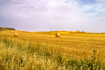 Country landscape near Matera and Gravina di Puglia