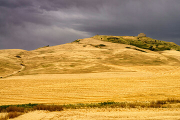 Country landscape in Basilicata, Italy, at summer