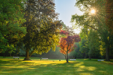 Obraz premium Empty Park early morning