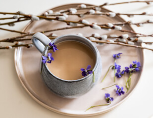 Cup of coffee with spring decoration - violet flowers and catkin