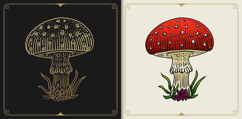 Mushroom or fungus with engraving, hand drawn, luxury, celestial, esoteric, boho style, fit for spiritualist, religious, paranormal, tarot reader, astrologer or tattoo © ekosuwandono