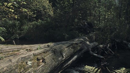 Traveler photographing scenic view in forest river. Wood bridge fallen tree. One caucasian woman shooting nice magic look. Girl take photo video on camera. Photographer travel with backpack. Outdoor.