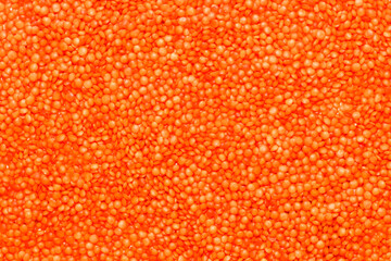 Red lentils scattered close-up, grain texture.