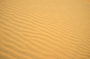 Wavy surface of sand dunes. Decoration concept. Summer background. Desert theme. Wind traces. Nature design. Picture for creative wallpaper or home art. Sand pattern.