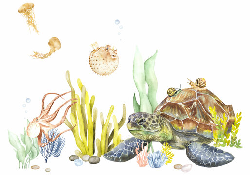 Watercolor illustration of the seabed with a sea turtle and other underwater inhabitants.