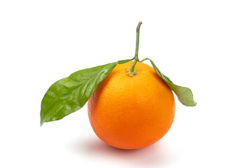 a clementine with leaves isolated on a white background