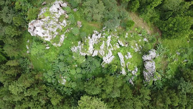 Green view of valey with white rocks